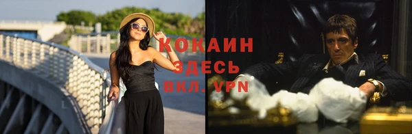 спиды Щигры