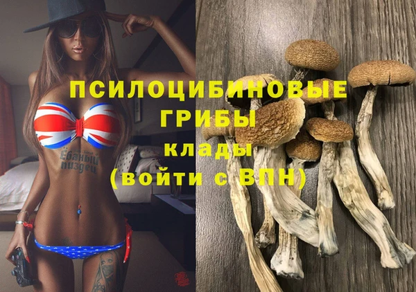 круглые Щучье