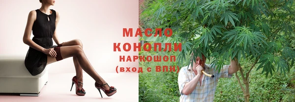 спиды Щигры