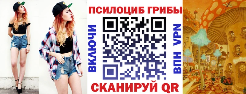 Купить  Хилок  Псилоцибиновые грибы Psilocybine cubensis 